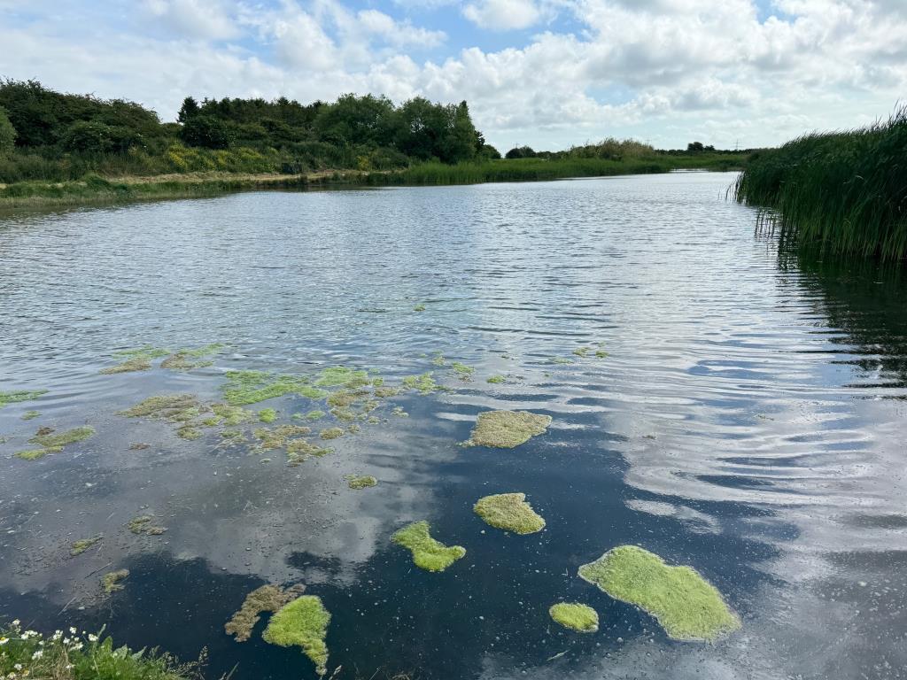 Lot: 163 - APPROXIMATELY NINE ACRES LAND INCORPORATING FLIGHT POND IN IDYLLIC LOCATION - View of flight pond